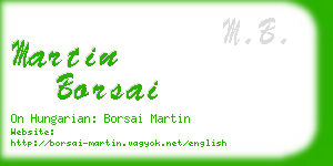 martin borsai business card